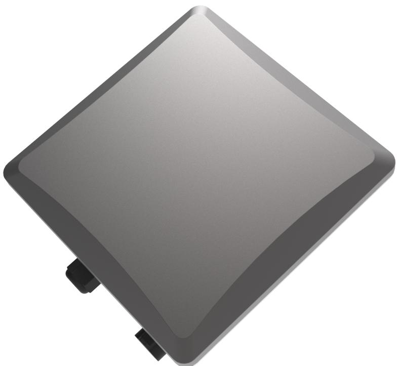 RAK RAK7229CV2 - Overview - 1