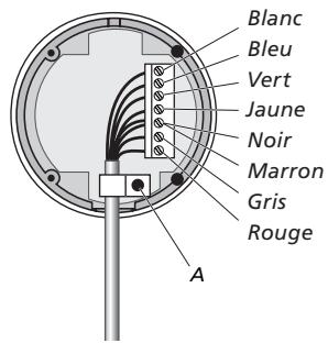 BANG & OLUFSEN Beovision 4 - Installer et connecter le récepteur IR - 2