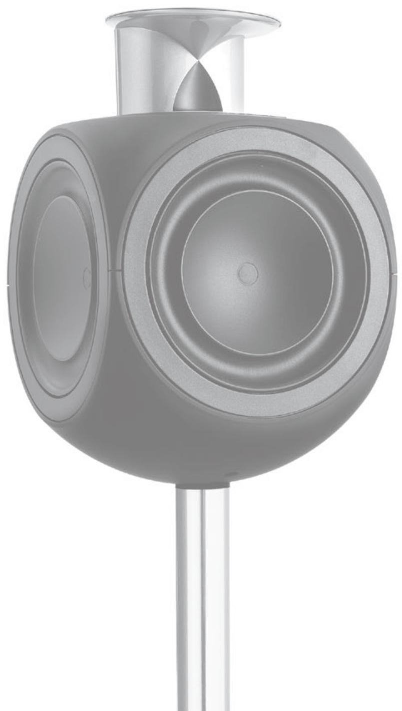 BANG & OLUFSEN BeoVision 9 - Conseils utiles - 2