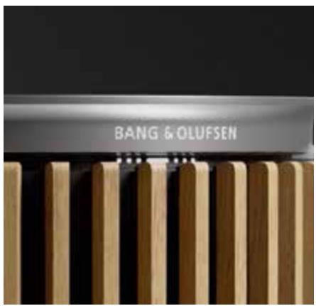 BANG & OLUFSEN Beolab 8 - CONNEXIONS - 1