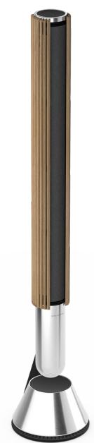 BANG & OLUFSEN BeoLab 28 - 2