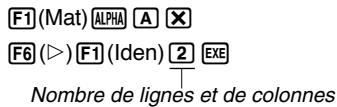 CASIO CFX-9850GB PLUS - Exemple 3 Multiplier la matrice A (de l'exemple 1) par une matrice unité de dimensions 2 × 2 - 1