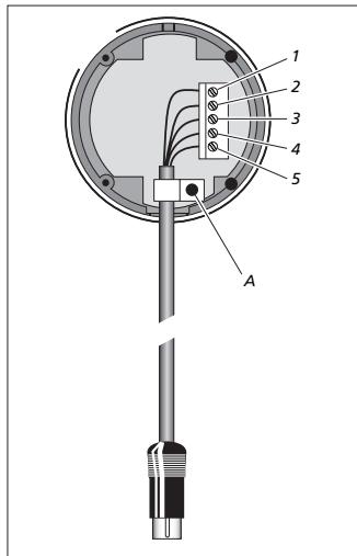 BANG & OLUFSEN Beolink Wireless 1 - « Ciel IR » - connexions du cable - 1