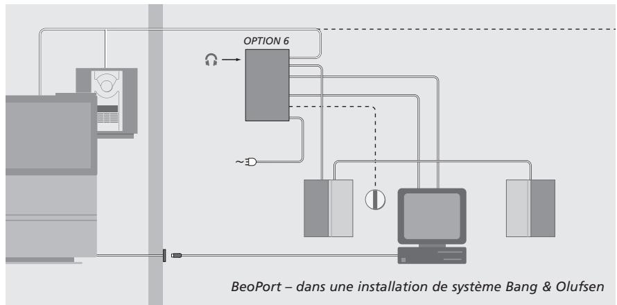 BANG & OLUFSEN BeoPort - Carte de syntonisation TV - 1
