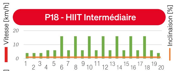Sportstech sTread Lite - MODE PROGRAMME - 19
