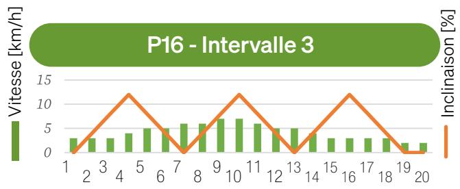 Sportstech sTread Lite - MODE PROGRAMME - 17