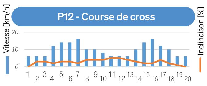 Sportstech sTread Lite - MODE PROGRAMME - 13
