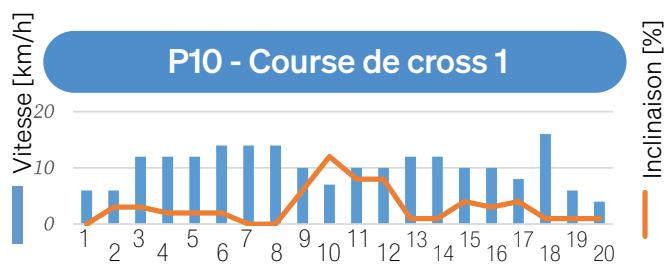 Sportstech sTread Lite - MODE PROGRAMME - 11