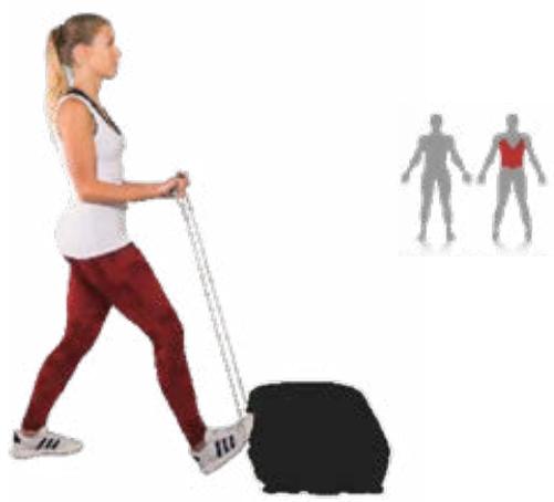 Sportstech VP400 - Exercice pour le dosdoblada - 1