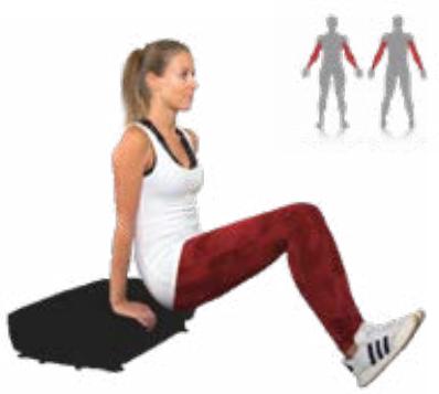 Sportstech VP400 - Flexion des bras - 2