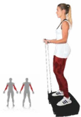 Sportstech VP400 - Flexion des bras - 1