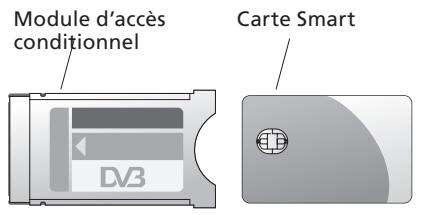 BANG & OLUFSEN DVB-HD - Cartes Smart et modules CA - 1
