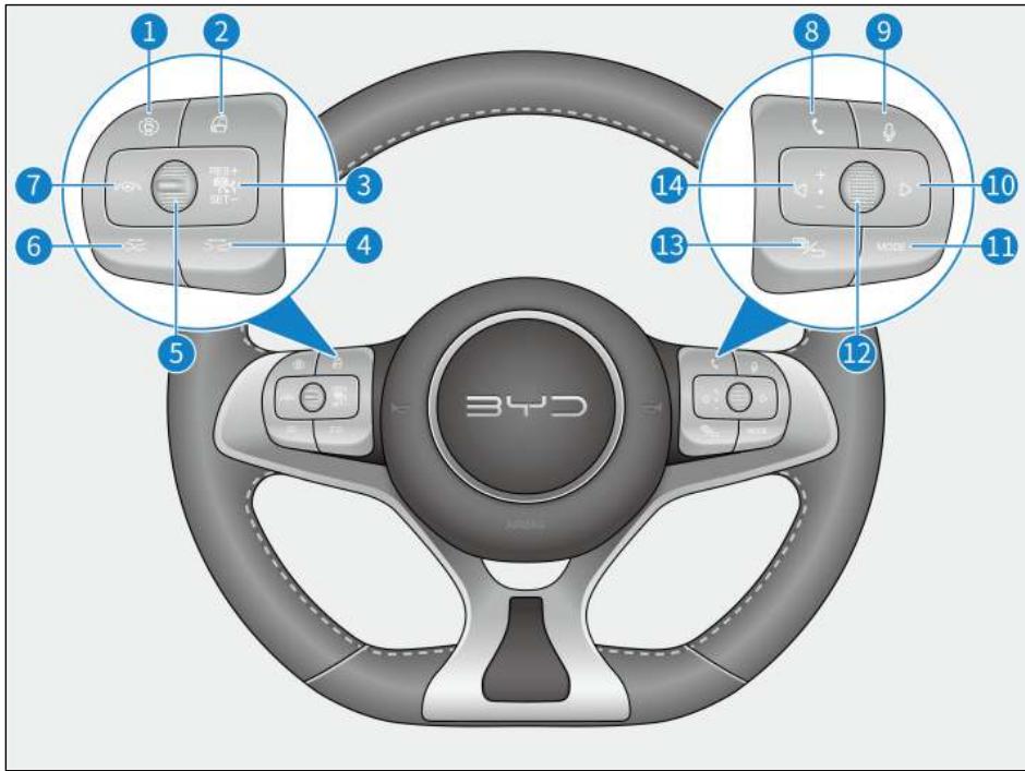 BYD Dolphin (2021) - Commandes au volant - 1