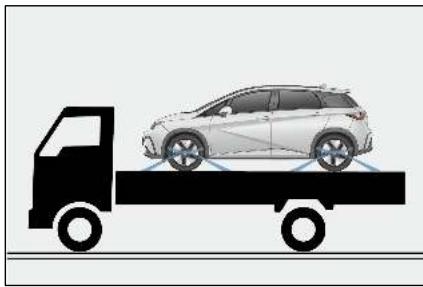 BYD Dolphin (2021) - Avertissement - 1