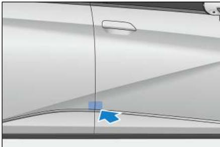 BYD Dolphin (2021) - Plaque signalétique du véhicule - 1
