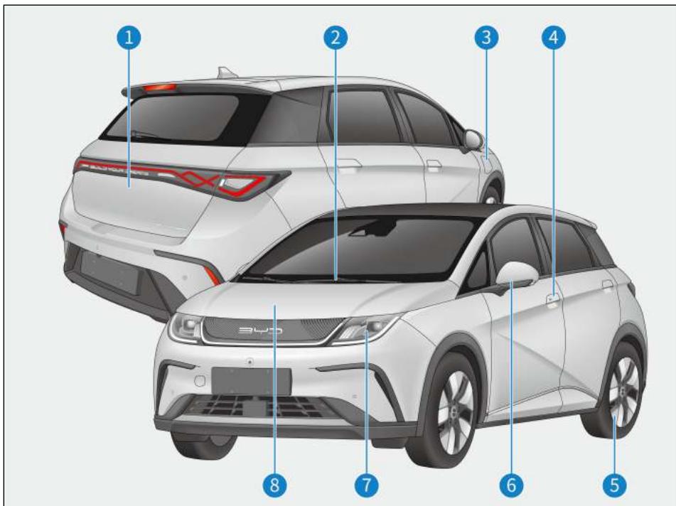 BYD Dolphin (2021) - Extérieur - 1