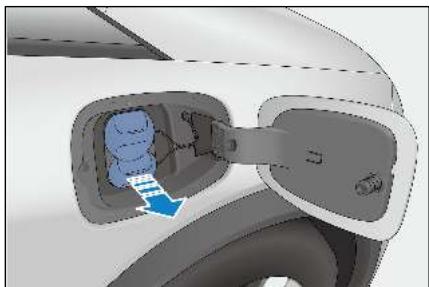 BYD Dolphin (2021) - Charge - 1