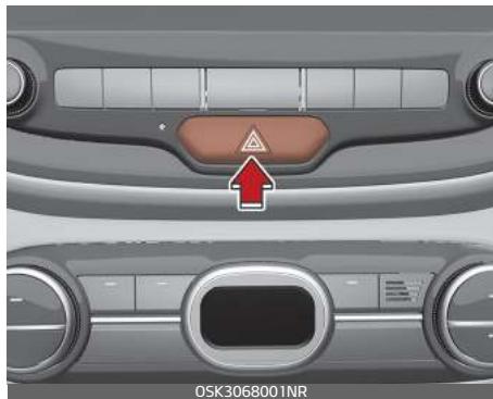 KIA E-Soul (2019) - Feux de détresse - 1