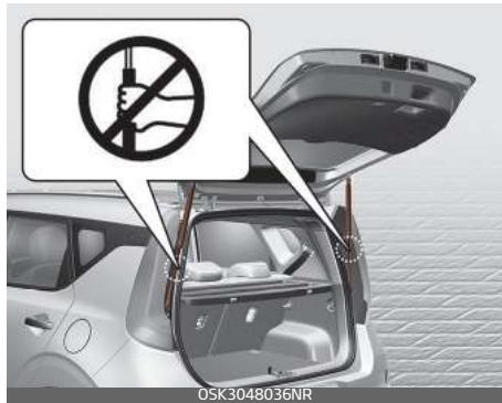 KIA E-Soul (2019) - Avertissement - 1