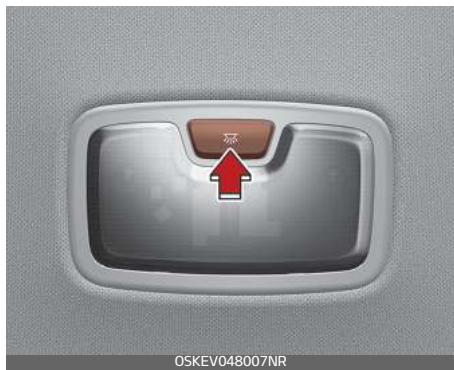 KIA E-Soul (2019) - Plafonnier - 1