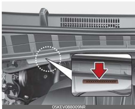 KIA E-Soul (2019) - Numéro d'identification du vehicule (VIN) - 1