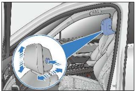 BYD Tang 2 Phase 1 (2018-2024) - Abaisser un appuie-tête - 1