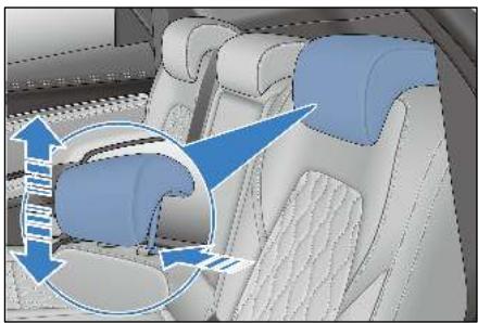BYD Tang 2 Phase 1 (2018-2024) - Abaisser un appuie-tête - 1