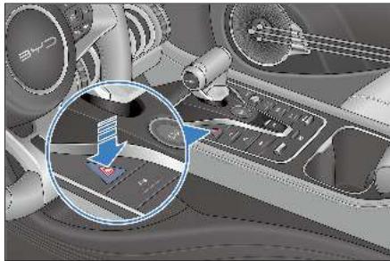 BYD Atto 3 (2022) - Bouton du voyant d'urgence - 1