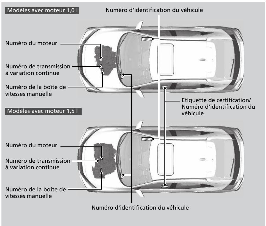 Honda Civic 10 Phase 2 (2020-2023) - Numero d'identification du vehicule (VIN), numero de moteur et numero de transmission - 3