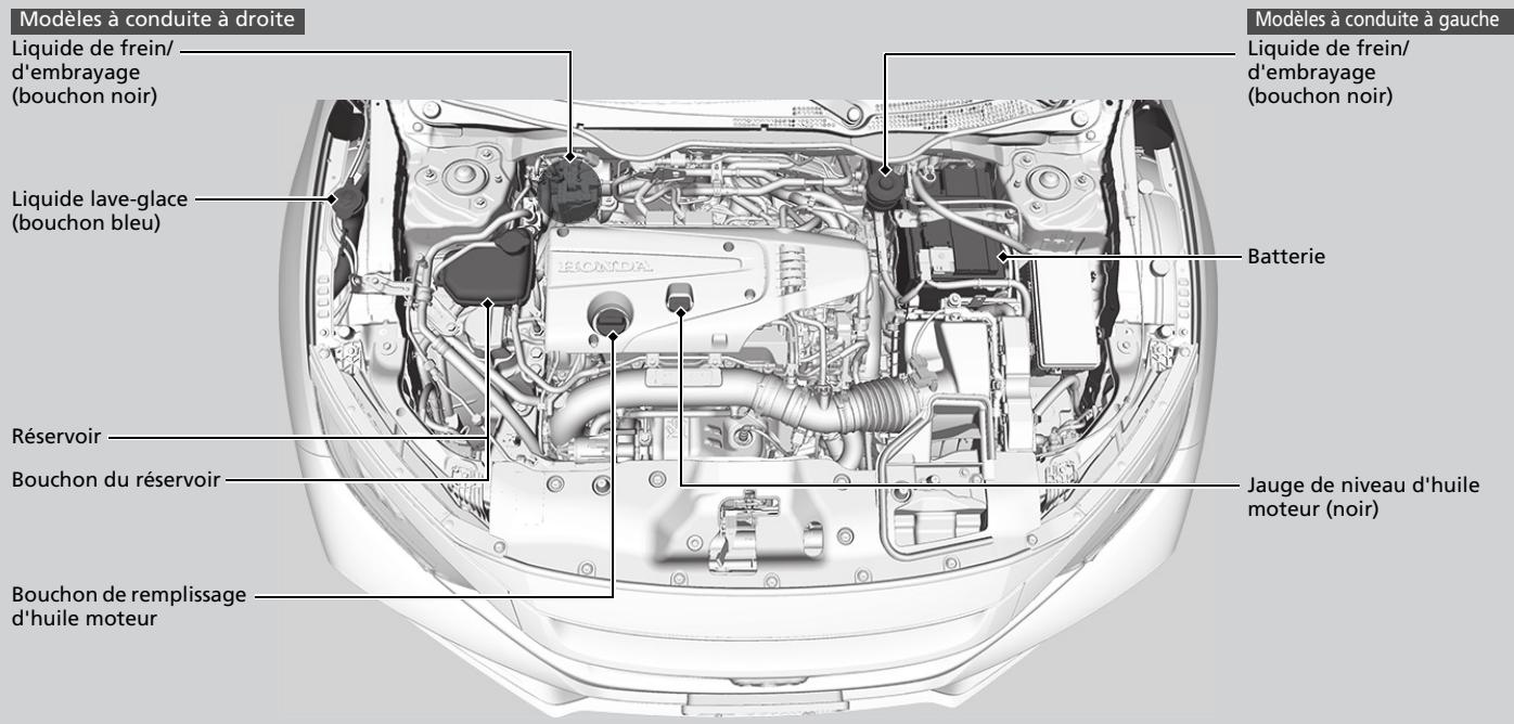 Honda Civic 10 Phase 2 (2020-2023) - Modèle avec moteur 2,0 - 1