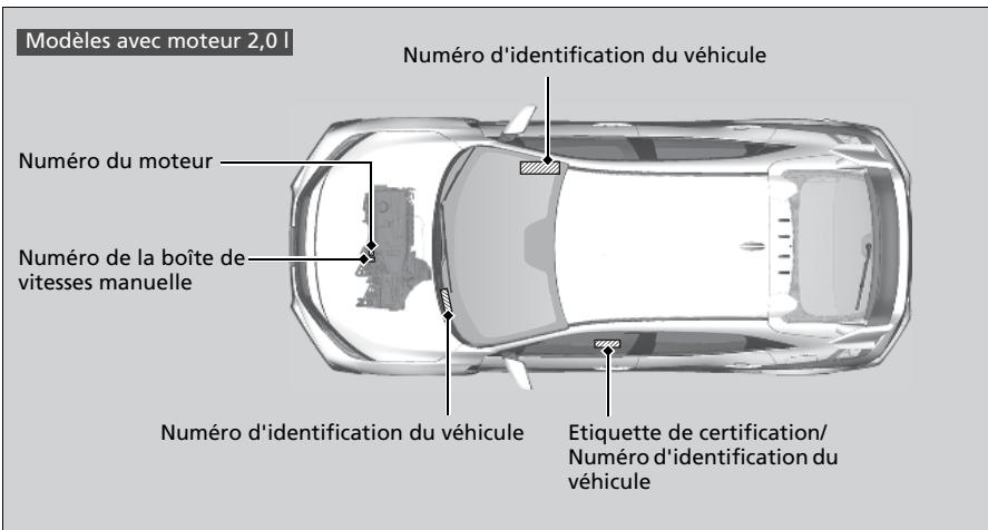 Honda Civic 10 Phase 2 (2020-2023) - Numero d'identification du vehicule (VIN), numero de moteur et numero de transmission - 4