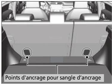 Honda Civic 10 Phase 2 (2020-2023) - Protection accrue grâce à une sangle supérieure - 1