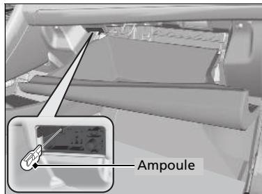 Honda Civic 10 Phase 2 (2020-2023) - Ampoule de la boite à gants : 3,4 W - 2