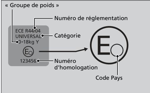 Honda Civic 10 Phase 2 (2020-2023) - Sélection d'un dispositif de retenue pour enfant - 1