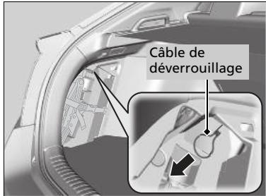 Honda Civic 10 Phase 2 (2020-2023) - Que faire s'il est impossible de déverrouiller la trappe à carburant - 1