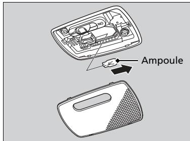 Honda Civic 10 Phase 2 (2020-2023) - Ampoule de plafonnier:8 W - 2