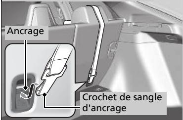 Honda Civic 10 Phase 2 (2020-2023) - Modèles avec cache du compartment à bagages - 1