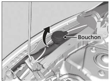 Honda Civic 10 Phase 2 (2020-2023) - Remplissage du liquide lave-glace - 1