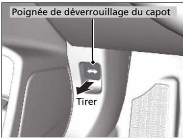 Honda Civic 10 Phase 2 (2020-2023) - Ouverture du capot - 1