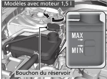 Honda Civic 10 Phase 2 (2020-2023) - Appoint de liquide de refroidissement - 2
