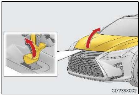 LEXUS RX AL20 Phase 1 (2015-2019) - Capot - 2