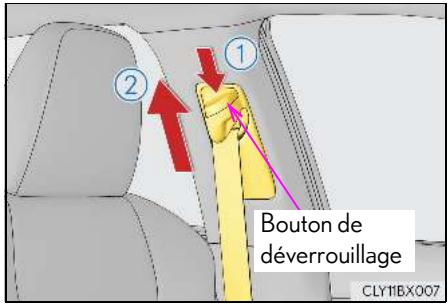 LEXUS RX AL20 Phase 1 (2015-2019) - Réglage de la hauteur d'ancrage d'épaule de ceinture de sécurité (sièges avant) - 1