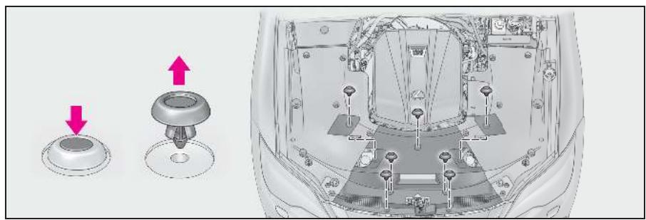 LEXUS LS XF50 Phase 2 (2020) - Cache du compartment moteur - 2