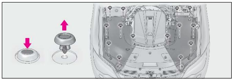 LEXUS LS XF50 Phase 2 (2020) - Cache du compartment moteur - 1
