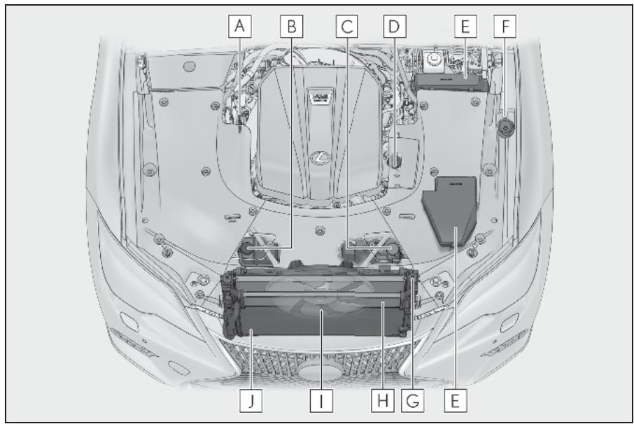 LEXUS LS XF50 Phase 2 (2020) - Composants - 1