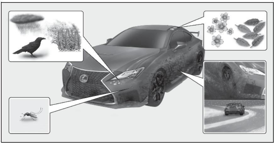 LEXUS Lexus RC F XC10 Phase 2 (2018) - Nettoyage et protection de l'extérieur du véhicule - 1