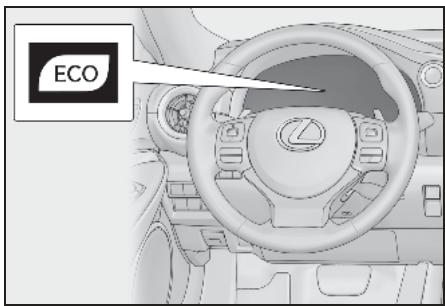 ECO