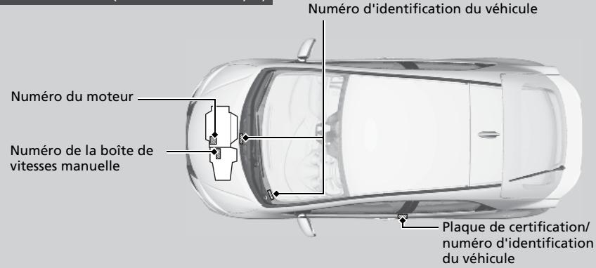 Honda Civic 9 Phase 1 (2012-2015) - Numero d'identification du vehicule (VIN), numero de moteur et numero de la transmission - 1