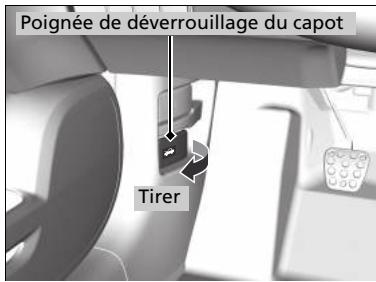 Honda Civic 9 Phase 1 (2012-2015) - Ouverture du capot - 1
