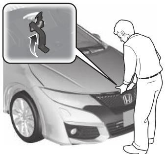 Honda Civic 9 Phase 1 (2012-2015) - P490 - 4